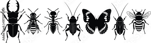 Collection of insect silhouettes including beetle, ant, butterfly, bee and cockroach, biodiversity concept, entomology study, isolated black icons, nature wildlife illustration set