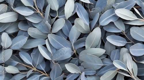 Layered Botanical Foliage Background with Overlapping Leaves for Artistic and Creative Projects