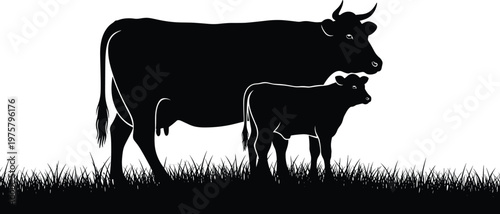 Silhouette of cow and calf standing on grass, agriculture livestock concept, farm animals, dairy production, rural life, motherhood bond, nature illustration isolated