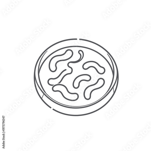 Vector of a petri dish containing a bacterial culture in a circular pattern