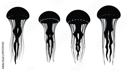 Four silhouetted jellyfish illustrations against a white background showcasing varying shapes