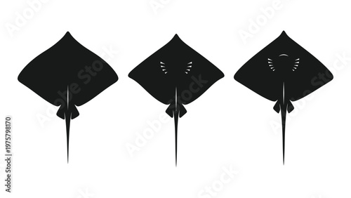 Three stylized ray silhouettes depicting different stages or views of the animal