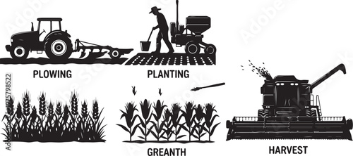 Agricultural Process from Plowing to Harvesting Crops Illustration