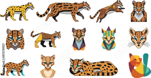 Ocelot Wild Cat Vector Set Spotted Feline Animal Collection Illustration