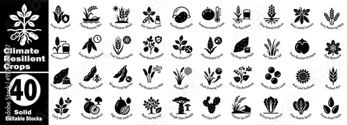 Climate resilient crops solid icons, drought and flood tolerant plants.