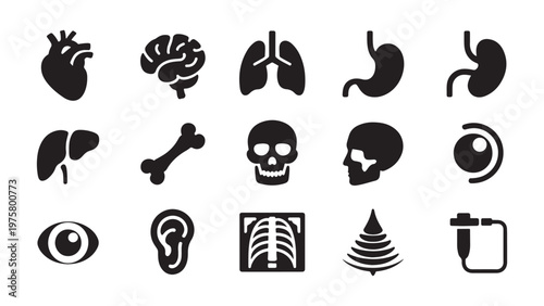 Collection of detailed black silhouette icons representing human internal organs and body parts