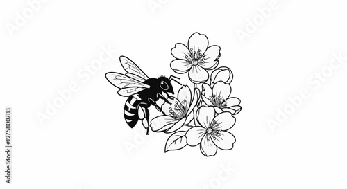 A black and white line drawing of a bee collecting nectar from blooming flowers