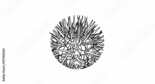 Intricate spiky sphere illustration with sharp spines radiating outward