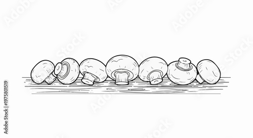 Hand-drawn illustration of seven edible fungi arranged on a textured surface