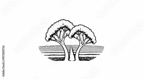 Stylized drawing of two trees framing a pathway leading through planted rows