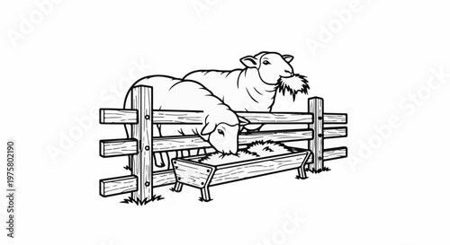 Two sheep eating hay from a wooden trough behind a fence