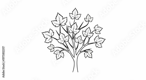 A simplified outline drawing of a stylized tree with branching stems and lobed leaves