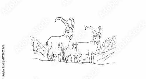 A line drawing depicts a family of ibex goats standing on a rocky mountain slope