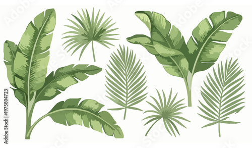 Watercolor banana leaf set – hand-drawn tropical rainforest foliage clipart