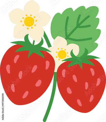 vector illustration of strawberry