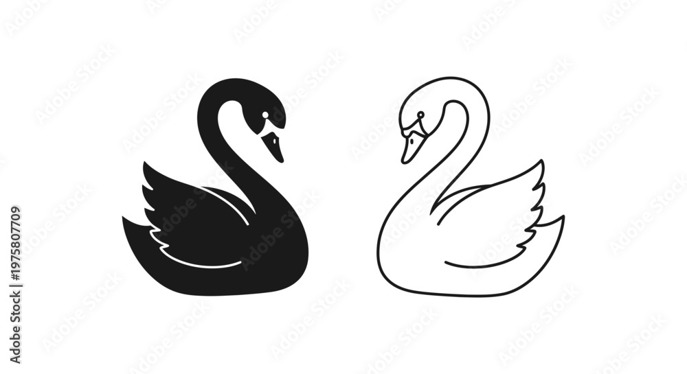 Fototapeta premium Black and White Swan Symbolic Pair Design Vector