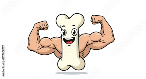 Fun cartoon character of a white bone with strong muscular human arms flexing its biceps to represent strength and health.