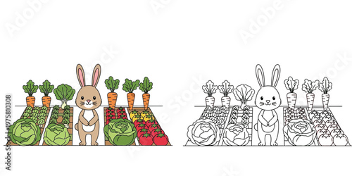 Cute Bunny Rabbit in a Vegetable Garden Patch with Carrots Tomatoes and Cabbage Coloring Book Page for Kids Vector Illustration with Colored and Outline Version Set