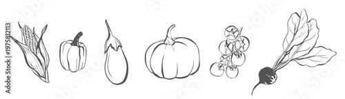 Hand Drawn Vegetable Line Art Illustration Set isoleted on transparent Background