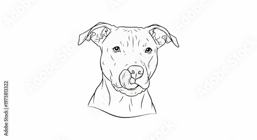 Detailed line drawing of a dog's head licking its nose