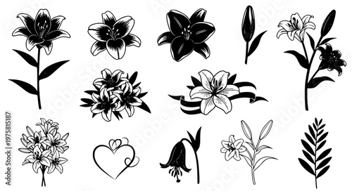 Lily flower silhouette icon vector set mourning floral EPS10 isolated on white