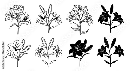 Minimal lily flower mourning icon vector set EPS10 transparent background