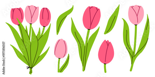 Vector set of cute pink tulip flower elements with green leaves and stems. Blooming bouquet, single tulip stems and separate leaf shapes for spring greeting card, wedding decor, poster, floral design.