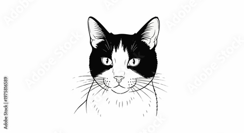 Stylized black and white sketch of a tuxedo cat's face looking forward