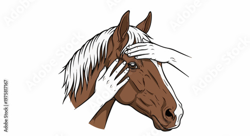 Close-up of a brown horse's head with white mane, two hands touching its face