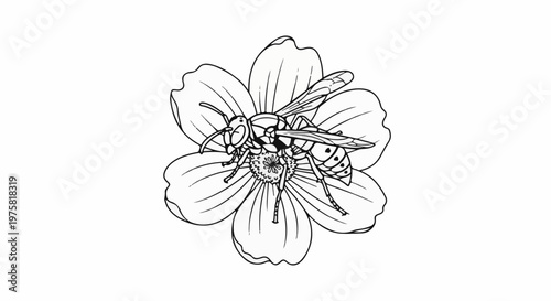 Line art of a wasp resting on a simple flower with multiple petals