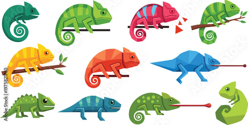 Chameleon Vector Set Color Changing Reptile Animal Collection Illustration