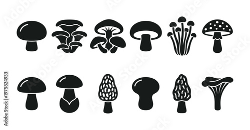 A set of various mushroom icons. Black silhouettes of different forest fungi. Vector design elements for logos, food packaging, or organic branding concepts.
