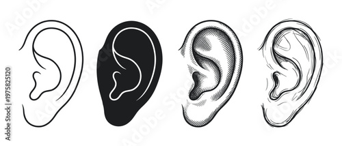 A vector set of human ear illustrations in various artistic styles: line art, icon, sketch, and engraving. For medical, educational, or creative design projects.