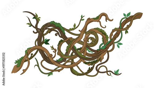 A vector illustration of tangled jungle liana vines. Wild, overgrown forest branches with green leaves and moss, perfect for nature or fantasy themed designs.