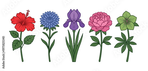 Colorful vector set of various garden flowers. This botanical illustration collection is perfect for spring designs, greeting cards, or decorative nature-themed projects.