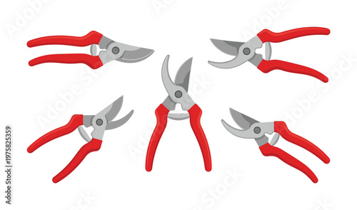 A set of red garden pruners for trimming plants. Vector illustration of secateurs, a gardening tool for landscaping, farming, and horticulture.