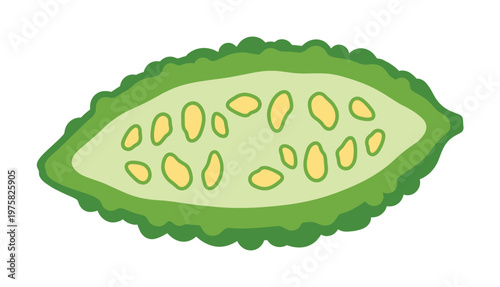 Vector illustration of a fresh bitter melon slice. This green, healthy vegetable is perfect for Asian cuisine concepts, food blogs, and organic food icons.