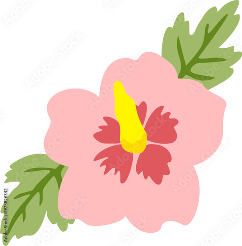 무궁화 일러스트