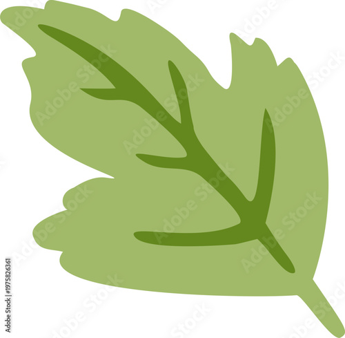 무궁화 일러스트