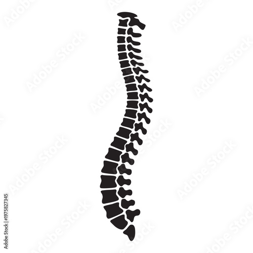 Minimalist Human Spine and Vertebrae Silhouette, Professional Back Health and Physical Therapy Symbol, Modern Orthopedic and Chiropractic Health Graphic.