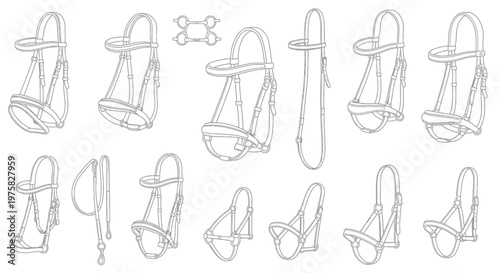 Equestrian Bridle Designs Collection - Line Art Illustrations