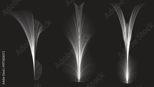 White Feather on Black Background Floating Softly