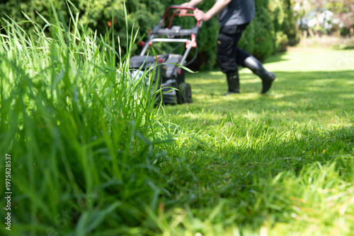 Lawn mowing in progress with focus on tall green grass in the foreground and gardener with mower in soft background. Natural garden maintenance concept with shallow depth of field and copy space