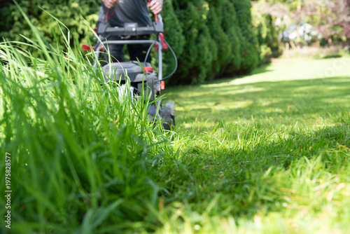 A man mows a lush green lawn on a sunny day, demonstrating the importance of maintaining a clean and tidy garden. A freshly mown lawn with its natural greenery is ideal for landscape design