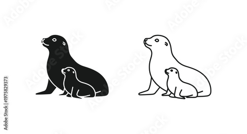Sea Lion Parent Baby Pairs Illustrated Guide Vector