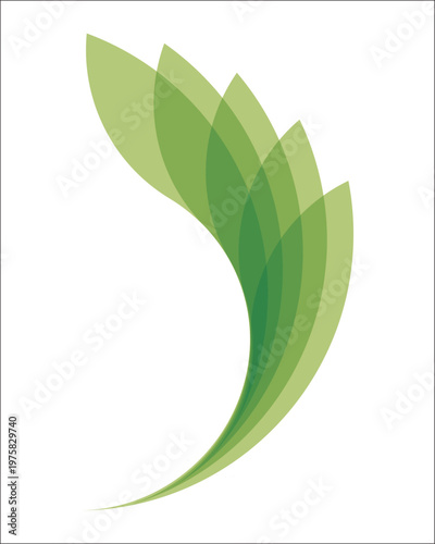 Modern Decorative Feather Shape Design