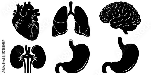 Illustration shows human internal organs including brain, heart, lungs, kidneys, and stomachs.