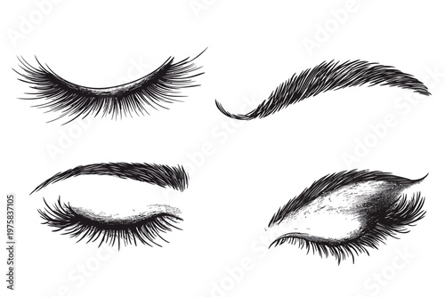 Four illustrations of eye and brow elements with thick lashes and defined brow. Rendered in grayscale
