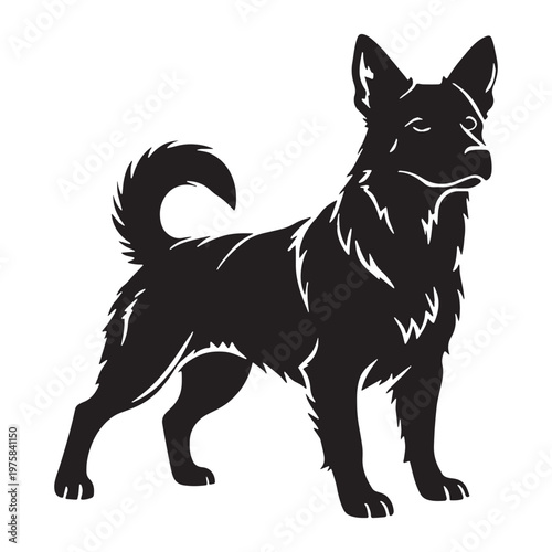Norwegian, Buhund, Nordic, Spitz, Agile, Energetic, Loyal, Intelligent, Active, Herding, Farm, Working, Friendly, Alert, Brave, Playful, Devoted, Compact, Strong, Versatile, Watchdog, Confident.