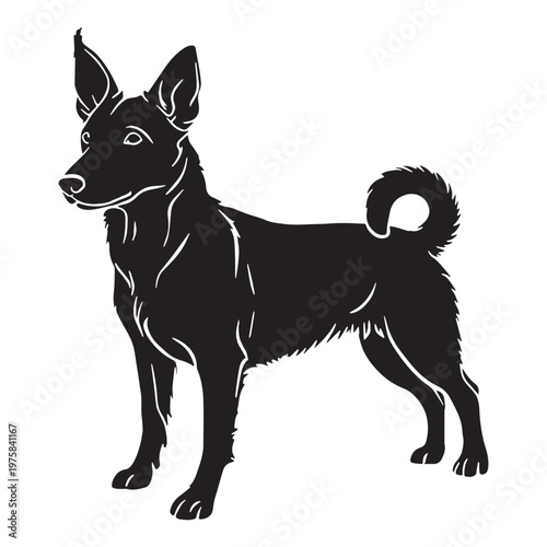 Norwegian, Buhund, Nordic, Spitz, Agile, Energetic, Loyal, Intelligent, Active, Herding, Farm, Working, Friendly, Alert, Brave, Playful, Devoted, Compact, Strong, Versatile, Watchdog, Confident.